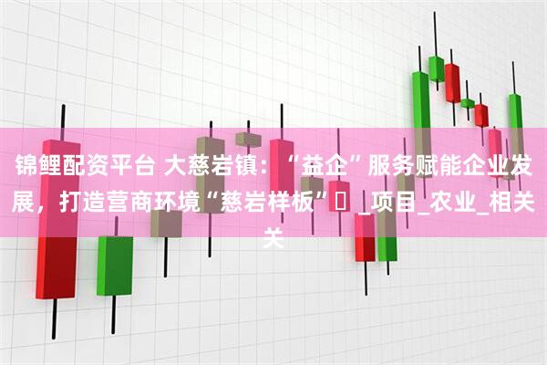 锦鲤配资平台 大慈岩镇:“益企”服务赋能企业发展,打造营商环境“慈岩样板”_项目_农业_相关