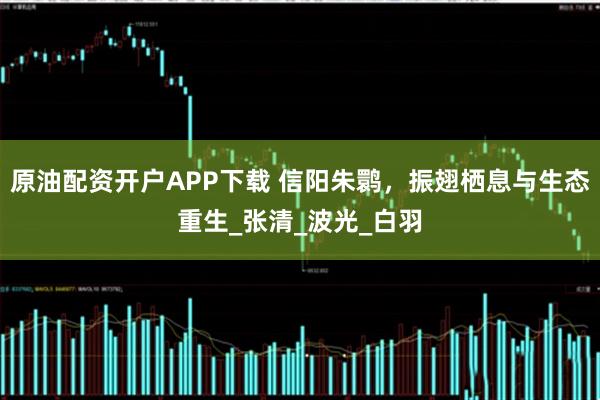 原油配资开户APP下载 信阳朱鹮，振翅栖息与生态重生_张清_波光_白羽